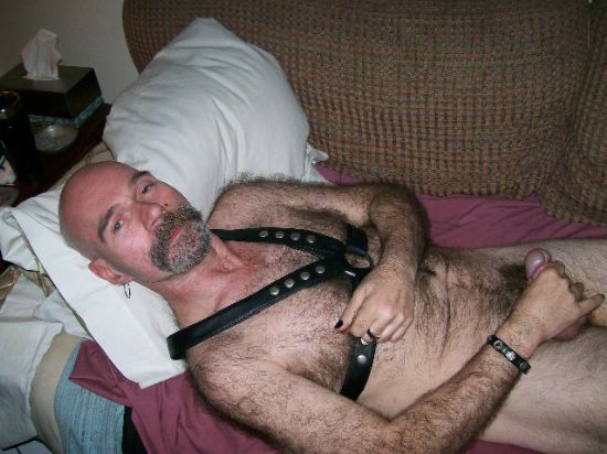 Featured bear