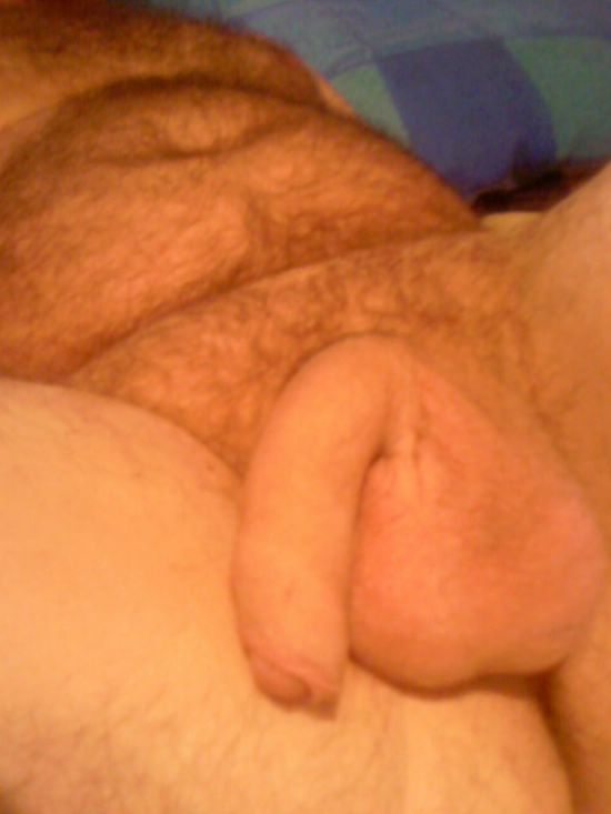 Featured bear